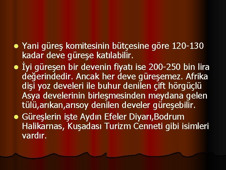 Yani güreş komitesinin bütçesine göre 120 -130 kadar deve güreşe katılabilir. l İyi güreşen