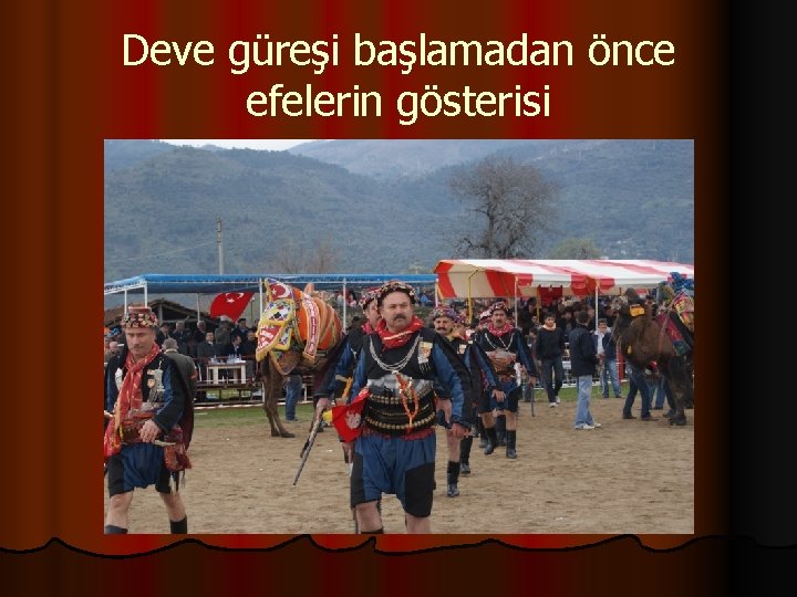 Deve güreşi başlamadan önce efelerin gösterisi 