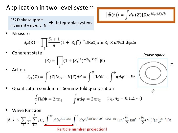Application in two-level system 2*2 D phase space Invariant value: E, N Integrable system