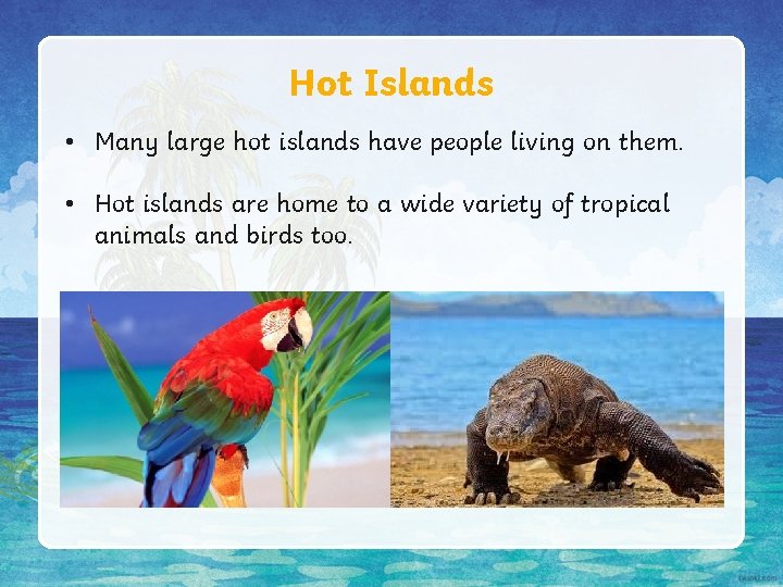 Hot Islands • Many large hot islands have people living on them. • Hot Hot Islands • Many large hot islands have people living on them. • Hot