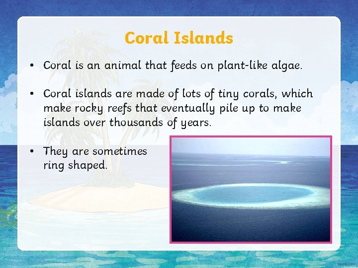 Coral Islands • Coral is an animal that feeds on plant-like algae. • Coral Coral Islands • Coral is an animal that feeds on plant-like algae. • Coral