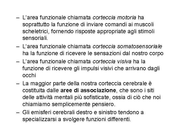 – L’area funzionale chiamata corteccia motoria ha soprattutto la funzione di inviare comandi ai