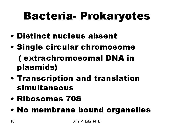 Bacteria- Prokaryotes • Distinct nucleus absent • Single circular chromosome ( extrachromosomal DNA in