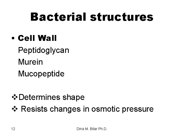 Bacterial structures • Cell Wall Peptidoglycan Murein Mucopeptide v. Determines shape v Resists changes