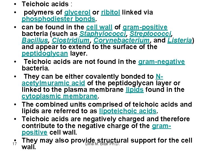  • Teichoic acids : • polymers of glycerol or ribitol linked via phosphodiester