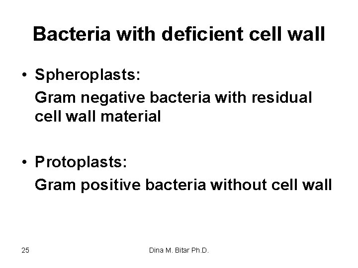 Bacteria with deficient cell wall • Spheroplasts: Gram negative bacteria with residual cell wall