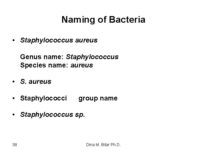 Naming of Bacteria • Staphylococcus aureus Genus name: Staphylococcus Species name: aureus • S.