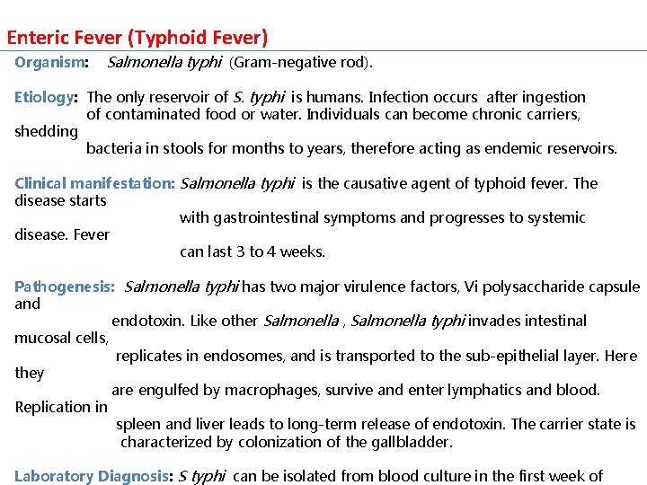 Enteric Fever (Typhoid Fever) Organism: Salmonella typhi (Gram-negative rod). Etiology: The only reservoir of