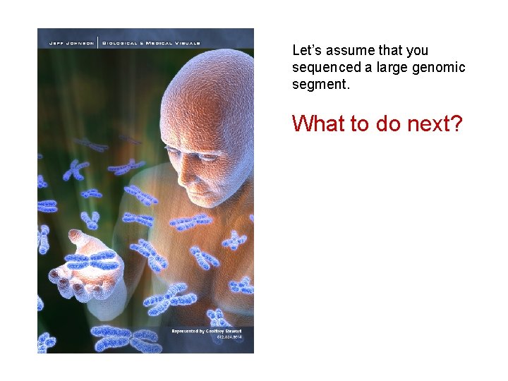 Let’s assume that you sequenced a large genomic segment. What to do next? 