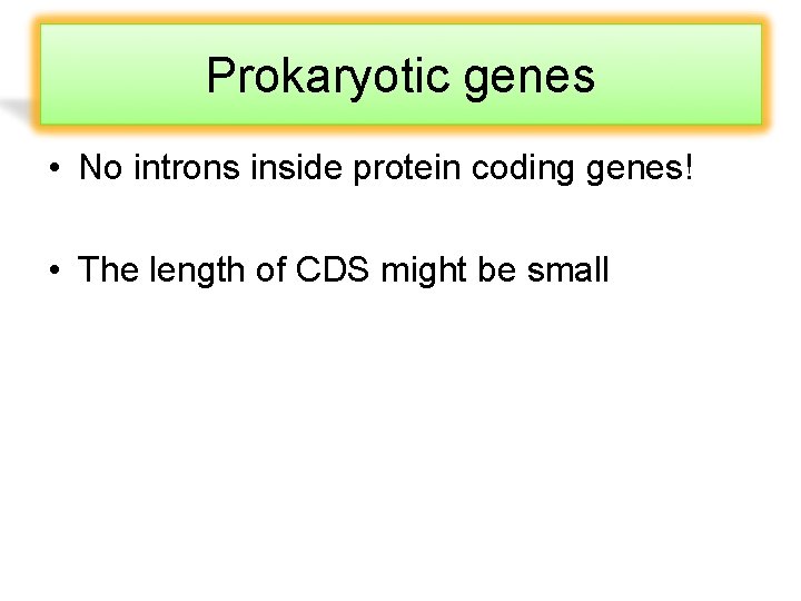 Prokaryotic genes • No introns inside protein coding genes! • The length of CDS