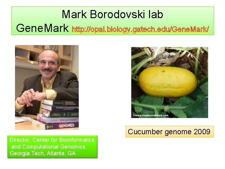 Mark Borodovski lab Gene. Mark http: //opal. biology. gatech. edu/Gene. Mark/ Cucumber genome 2009