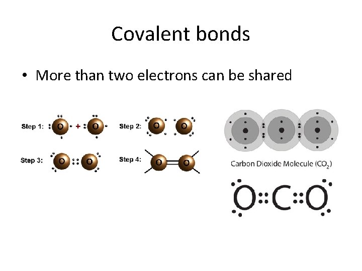 Covalent bonds • More than two electrons can be shared 