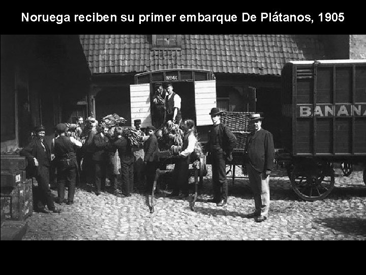 Noruega reciben su primer embarque De Plátanos, 1905 