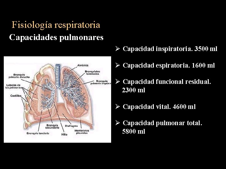 Fisiología respiratoria Capacidades pulmonares Ø Capacidad inspiratoria. 3500 ml Ø Capacidad espiratoria. 1600 ml