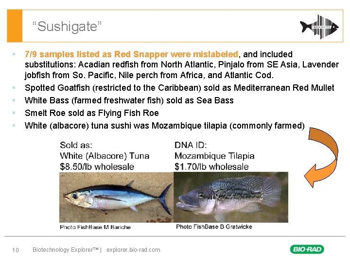 “Sushigate” § § § 10 7/9 samples listed as Red Snapper were mislabeled, and