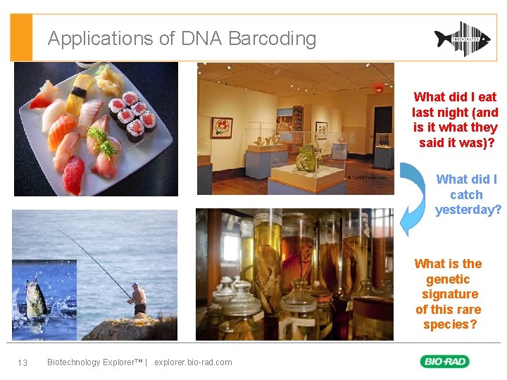 Applications of DNA Barcoding What did I eat last night (and is it what