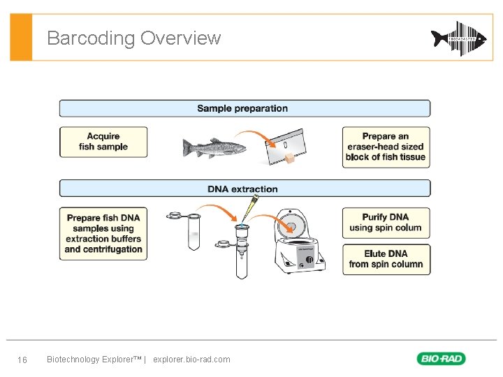 Barcoding Overview 16 Biotechnology Explorer™ | explorer. bio-rad. com 