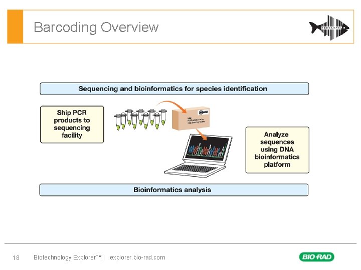 Barcoding Overview 18 Biotechnology Explorer™ | explorer. bio-rad. com 