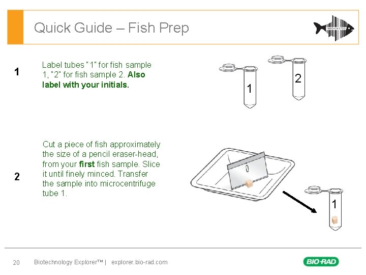 Quick Guide – Fish Prep 1 2 20 Label tubes “ 1” for fish