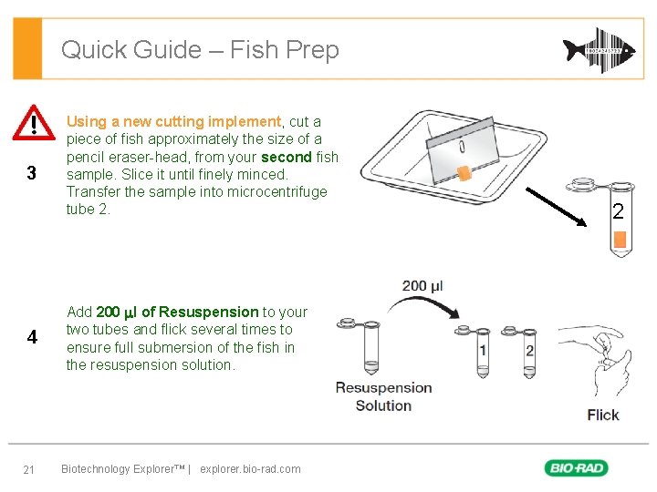 Quick Guide – Fish Prep 3 4 21 Using a new cutting implement, cut