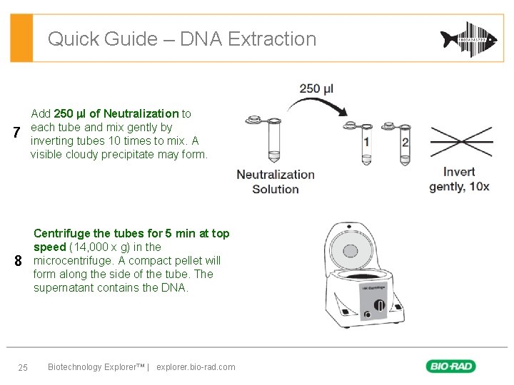 Quick Guide – DNA Extraction 7 Add 250 ml of Neutralization to each tube
