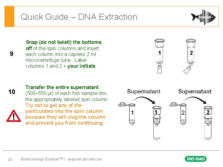 Quick Guide – DNA Extraction 9 10 26 Snap (do not twist!) the bottoms