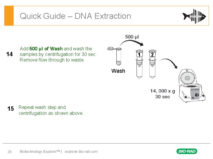 Quick Guide – DNA Extraction 14 Add 500 µl of Wash and wash the