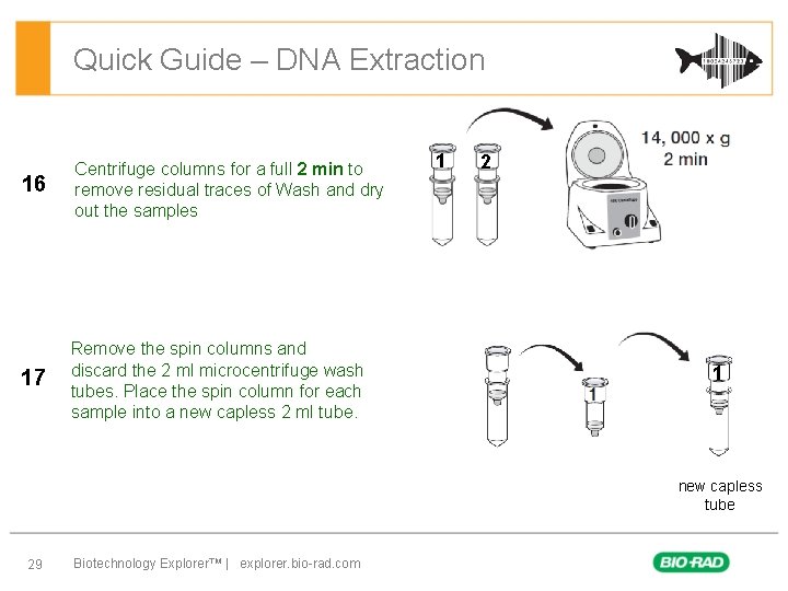 Quick Guide – DNA Extraction 16 Centrifuge columns for a full 2 min to