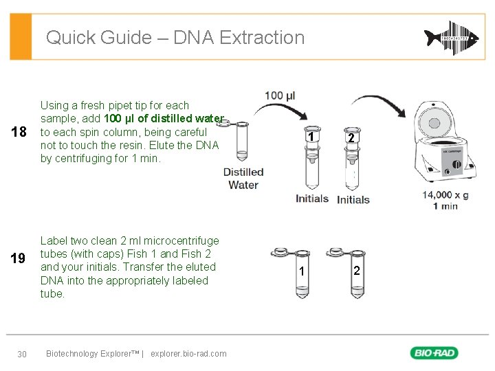 Quick Guide – DNA Extraction 18 19 30 Using a fresh pipet tip for