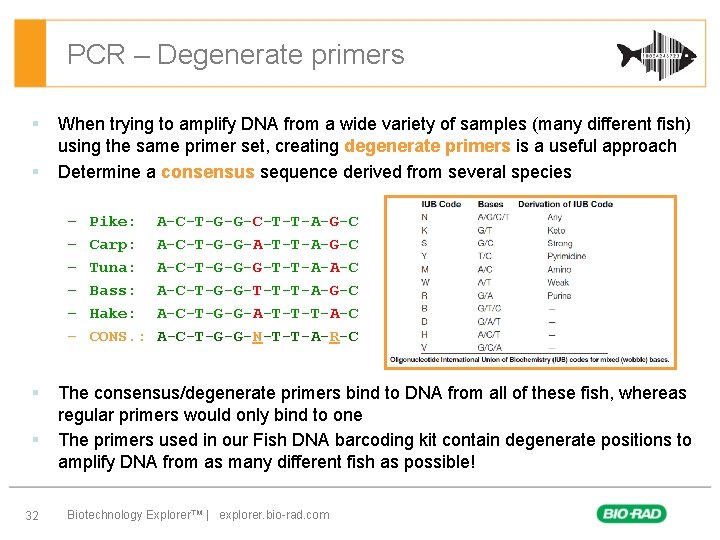PCR – Degenerate primers § § When trying to amplify DNA from a wide