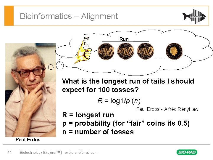 Bioinformatics – Alignment Run . . . What is the longest run of tails
