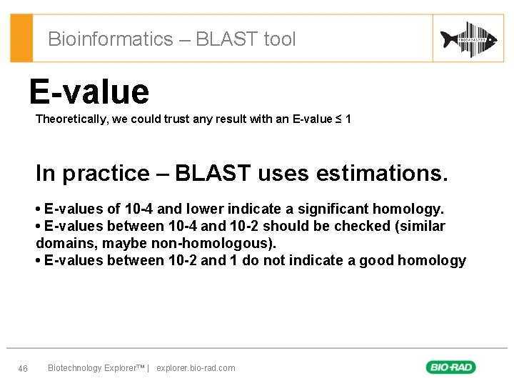 Bioinformatics – BLAST tool E-value Theoretically, we could trust any result with an E-value