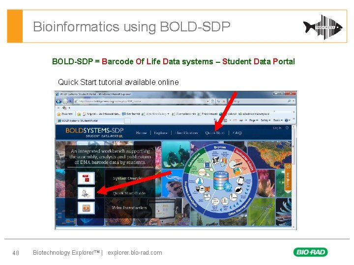 Bioinformatics using BOLD-SDP = Barcode Of Life Data systems – Student Data Portal Quick