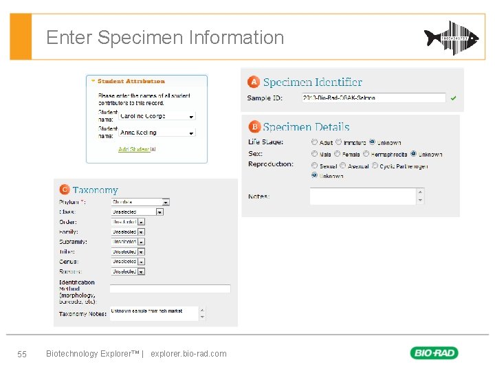 Enter Specimen Information 55 Biotechnology Explorer™ | explorer. bio-rad. com 