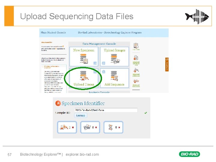 Upload Sequencing Data Files 57 Biotechnology Explorer™ | explorer. bio-rad. com 