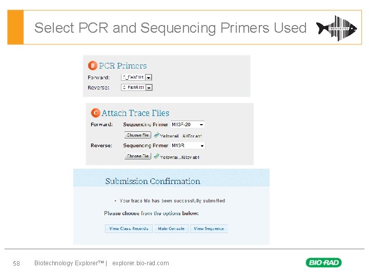 Select PCR and Sequencing Primers Used 58 Biotechnology Explorer™ | explorer. bio-rad. com 