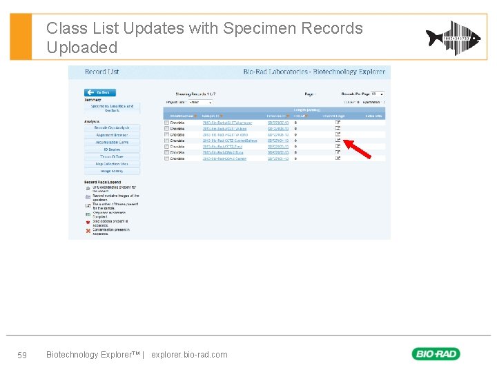 Class List Updates with Specimen Records Uploaded 59 Biotechnology Explorer™ | explorer. bio-rad. com