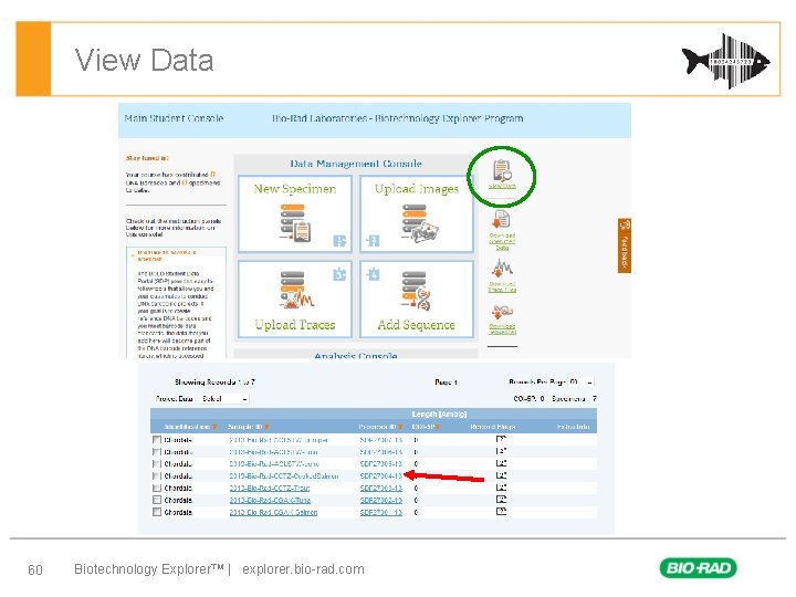 View Data 60 Biotechnology Explorer™ | explorer. bio-rad. com 