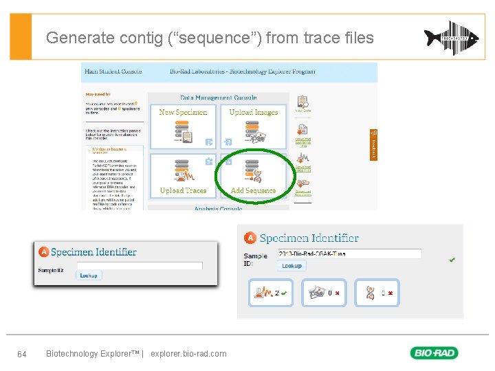 Generate contig (“sequence”) from trace files 64 Biotechnology Explorer™ | explorer. bio-rad. com 