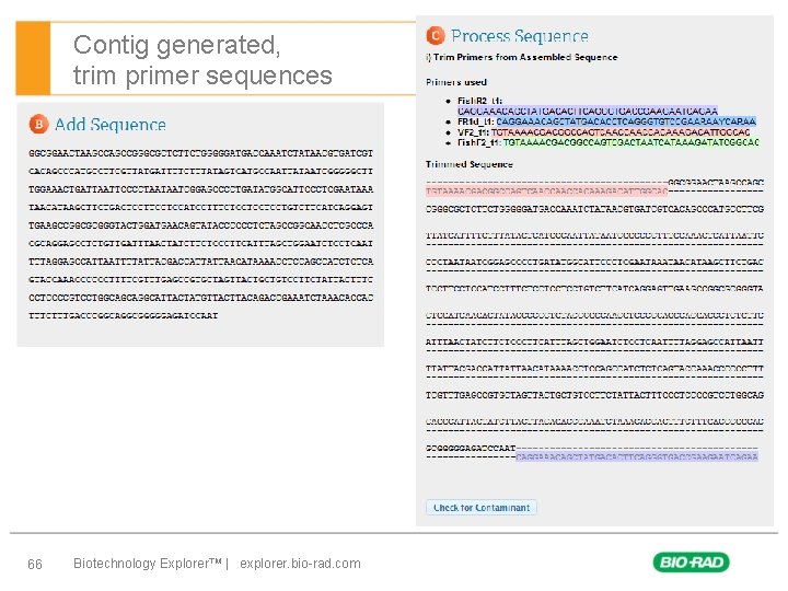 Contig generated, trim primer sequences 66 Biotechnology Explorer™ | explorer. bio-rad. com 