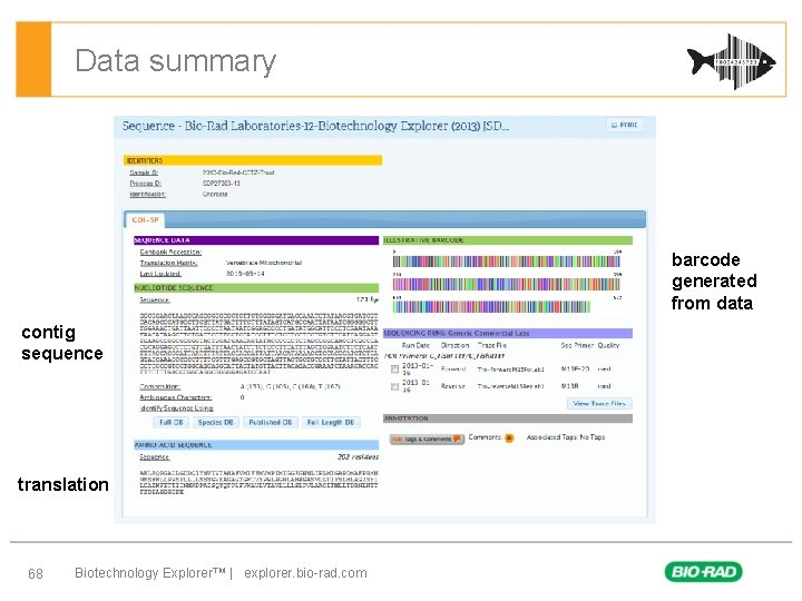 Data summary barcode generated from data contig sequence translation 68 Biotechnology Explorer™ | explorer.