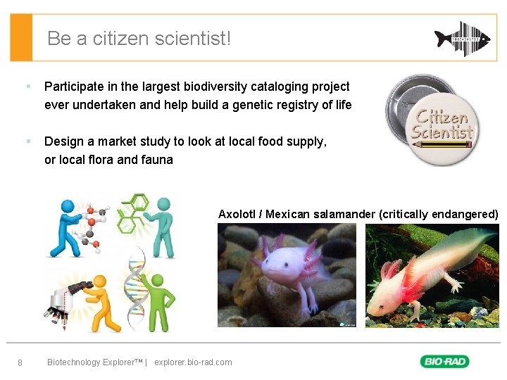 Be a citizen scientist! § Participate in the largest biodiversity cataloging project ever undertaken