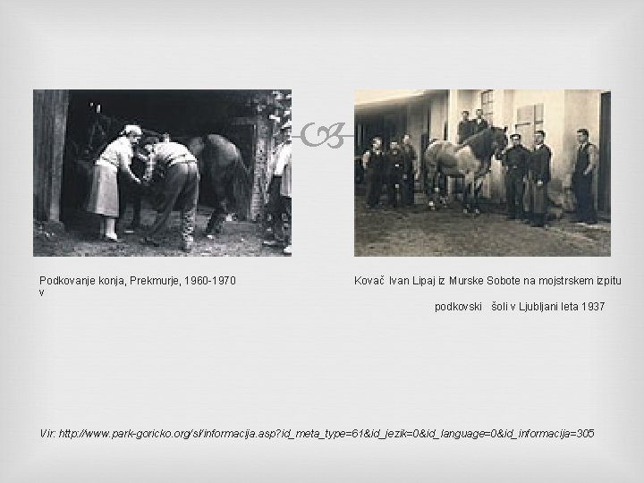  Podkovanje konja, Prekmurje, 1960 -1970 v Kovač Ivan Lipaj iz Murske Sobote na