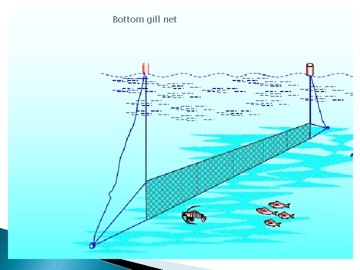 Bottom gill net 