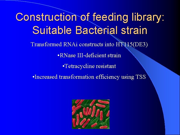 Construction of feeding library: Suitable Bacterial strain Transformed RNAi constructs into HT 115(DE 3)