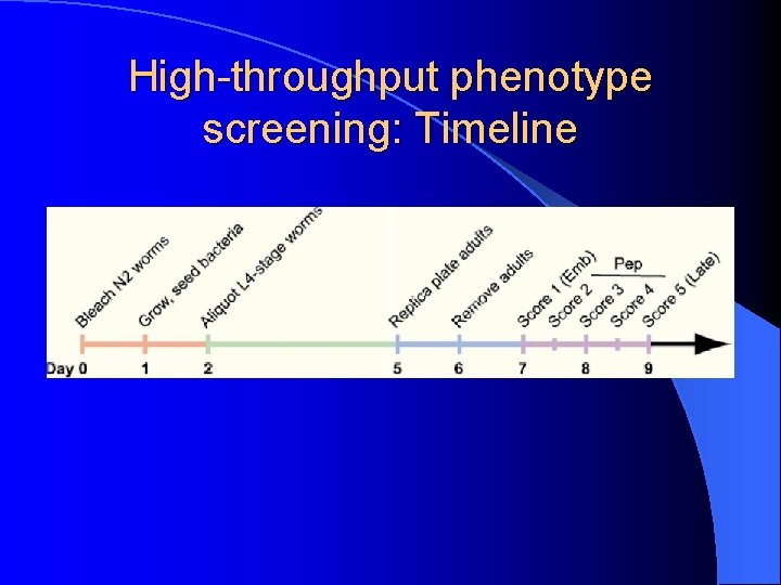 High-throughput phenotype screening: Timeline 