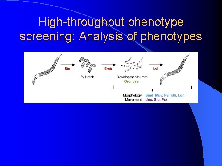 High-throughput phenotype screening: Analysis of phenotypes 