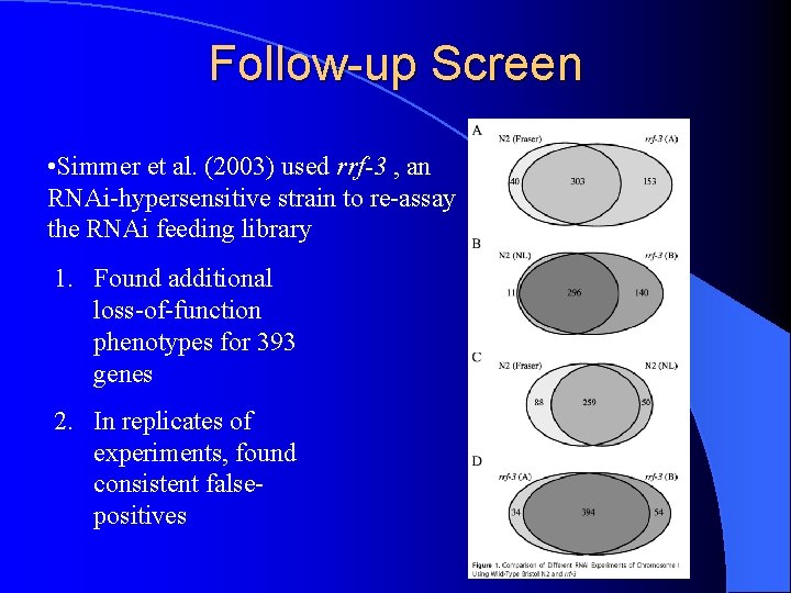 Follow-up Screen • Simmer et al. (2003) used rrf-3 , an RNAi-hypersensitive strain to