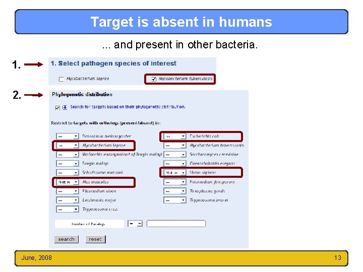 Target is absent in humans. . . and present in other bacteria. 1. 2.