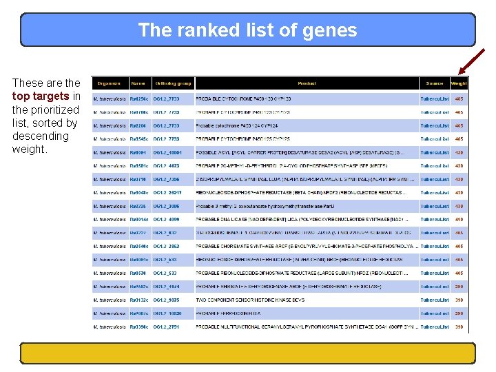 The ranked list of genes These are the top targets in the prioritized list,